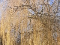 /album/winter-in-wervershoof-2020-21/wervershoof-09-jpg/